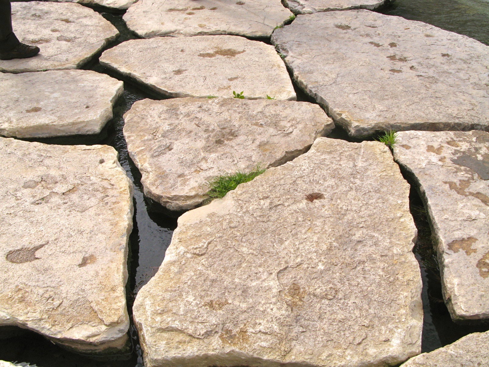 placeholder image-sq